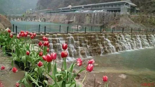 文天祥被俘,曾提出只要答应一个要求就投降,忽必烈为何却杀了他
