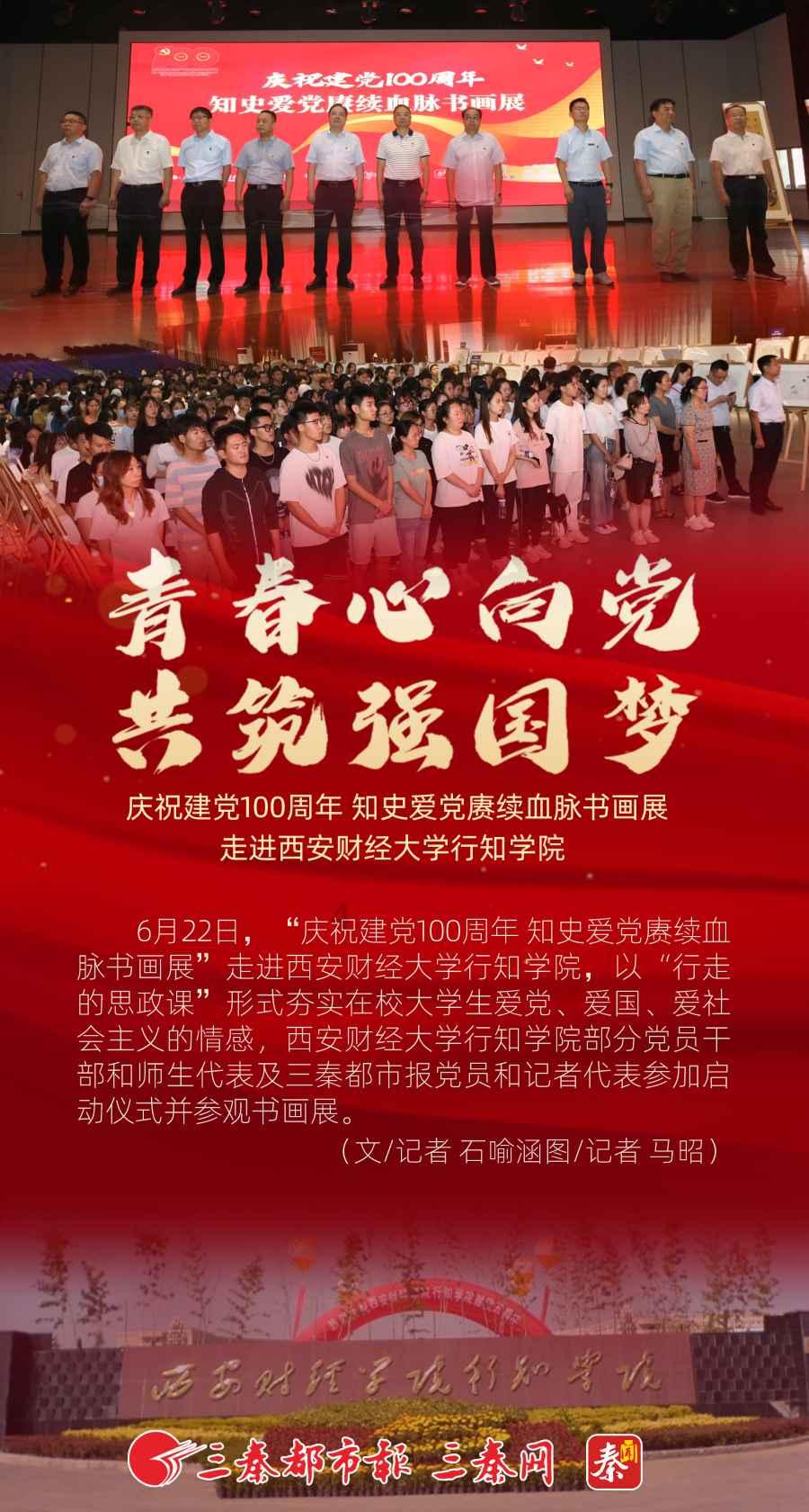 救援七星瓢虫